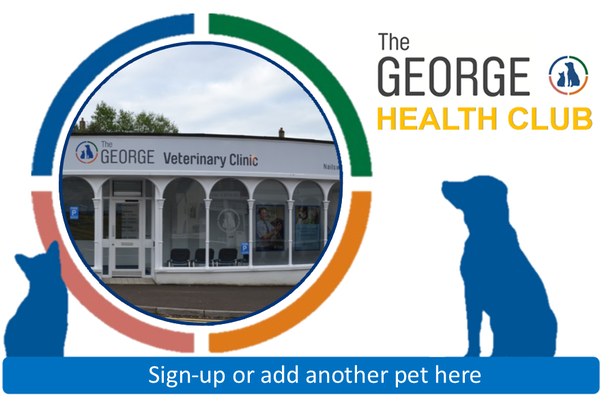 George Health Club Nailsworth